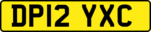 DP12YXC