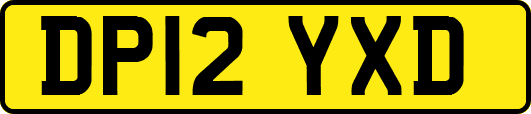 DP12YXD