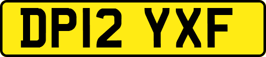 DP12YXF