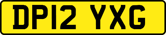 DP12YXG