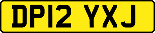 DP12YXJ