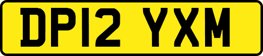 DP12YXM