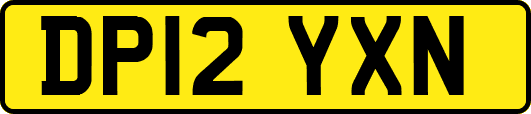 DP12YXN