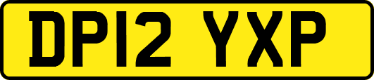 DP12YXP