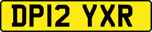 DP12YXR