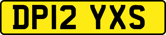 DP12YXS