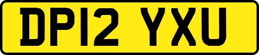 DP12YXU