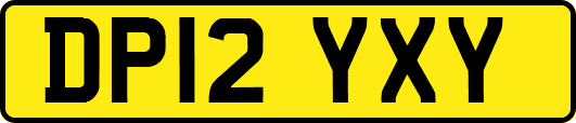 DP12YXY