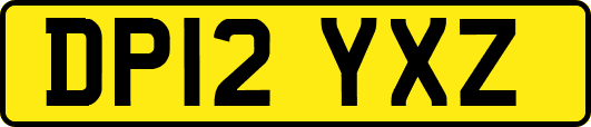 DP12YXZ