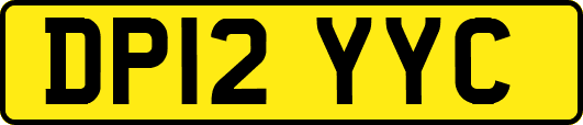 DP12YYC