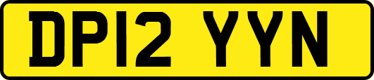 DP12YYN