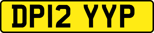 DP12YYP