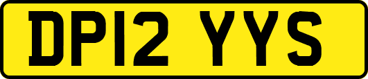 DP12YYS