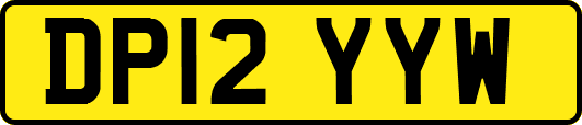 DP12YYW