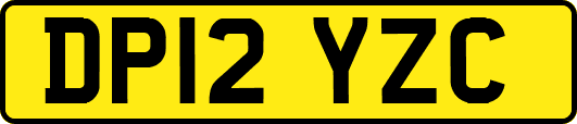 DP12YZC
