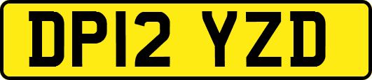DP12YZD