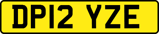 DP12YZE