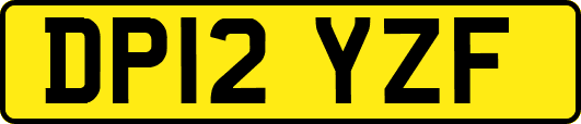 DP12YZF