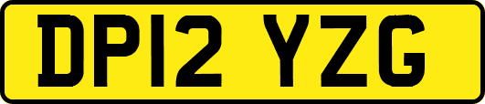 DP12YZG