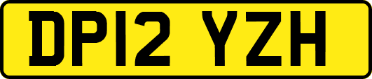 DP12YZH
