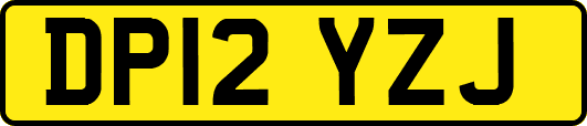 DP12YZJ