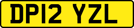 DP12YZL