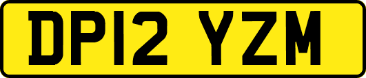 DP12YZM