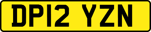 DP12YZN