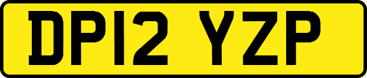 DP12YZP