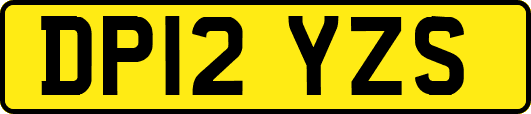 DP12YZS