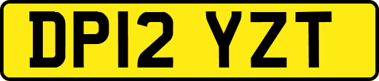 DP12YZT