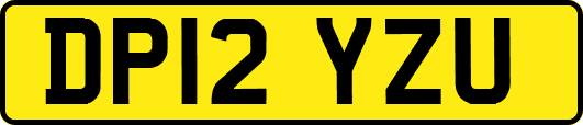 DP12YZU