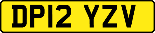 DP12YZV