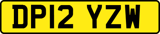 DP12YZW