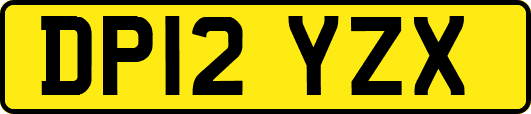 DP12YZX