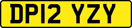DP12YZY