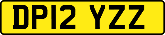 DP12YZZ