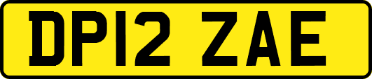 DP12ZAE