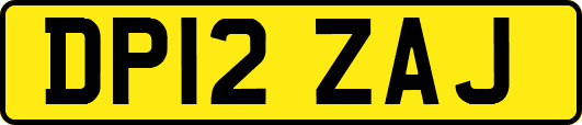 DP12ZAJ