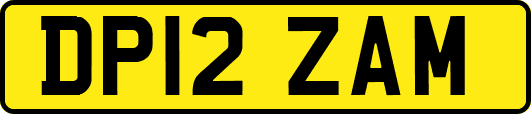 DP12ZAM