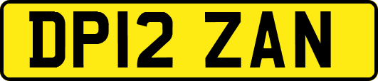 DP12ZAN