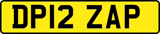 DP12ZAP