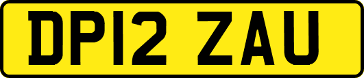 DP12ZAU