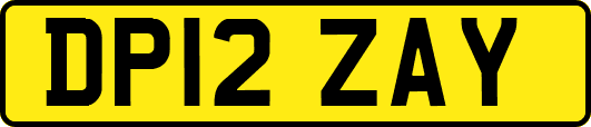 DP12ZAY