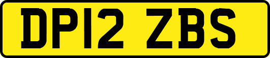 DP12ZBS