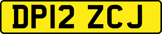 DP12ZCJ