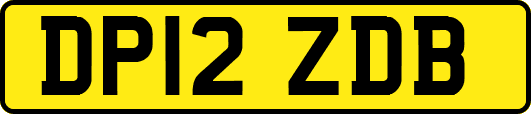 DP12ZDB