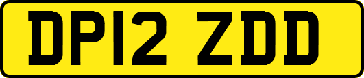 DP12ZDD