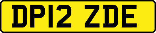 DP12ZDE