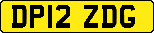 DP12ZDG